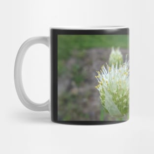 Green Onion Blossom 3 Mug